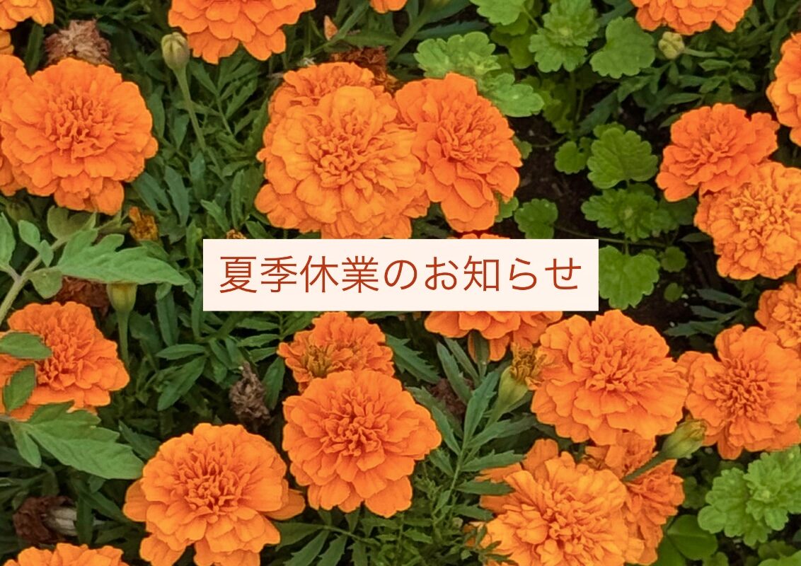 36DAE6B1-27C1-4FD6-B511-E0AA7AFDF7CA